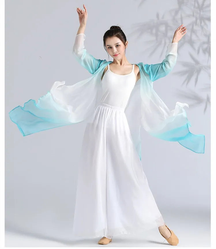 Women Classical Dance Long Dress Flowy Loose Shirt Chiffon Harem Pants Dancer Practice Wear Chinese Folk Dancewear Gradient