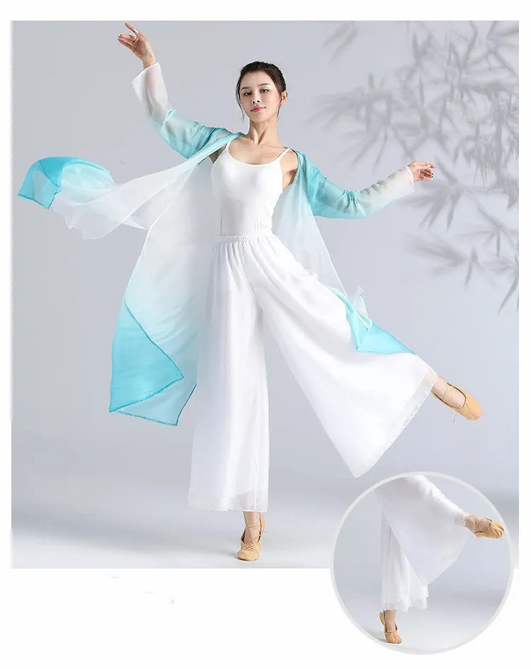 Women Classical Dance Long Dress Flowy Loose Shirt Chiffon Harem Pants Dancer Practice Wear Chinese Folk Dancewear Gradient