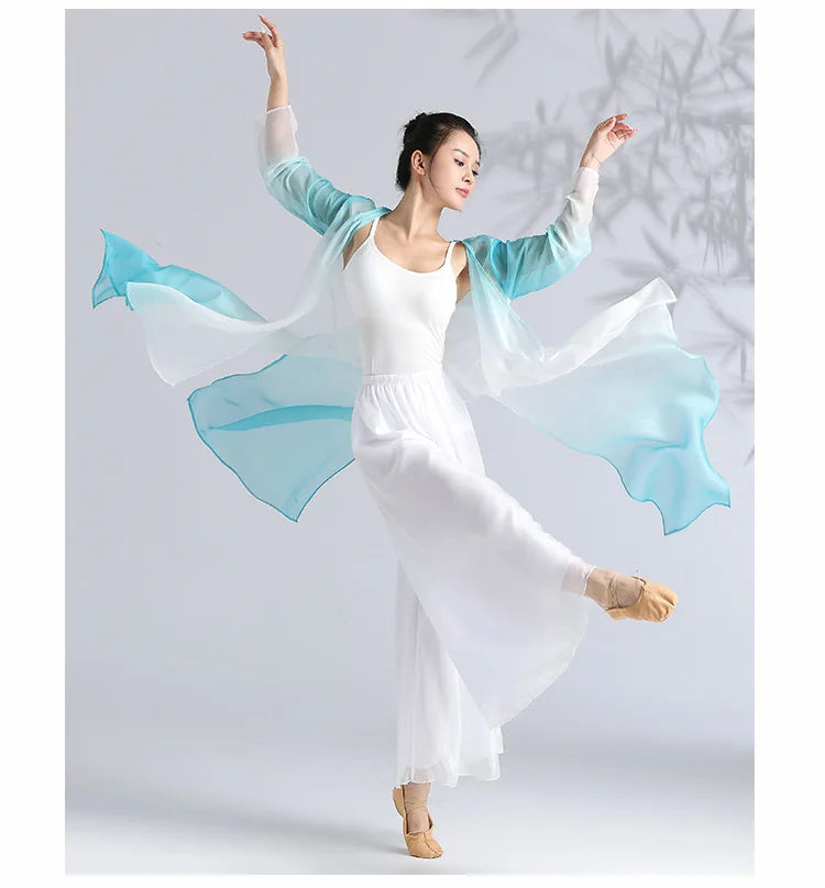 Women Classical Dance Long Dress Flowy Loose Shirt Chiffon Harem Pants Dancer Practice Wear Chinese Folk Dancewear Gradient