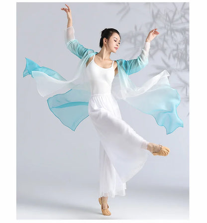 Women Classical Dance Long Dress Flowy Loose Shirt Chiffon Harem Pants Dancer Practice Wear Chinese Folk Dancewear Gradient