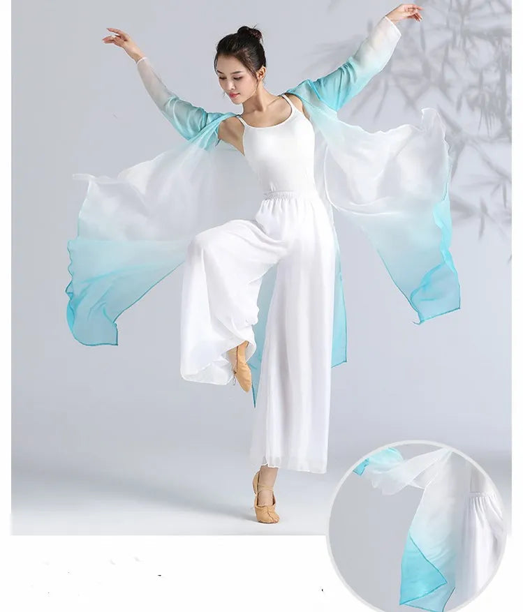 Women Classical Dance Long Dress Flowy Loose Shirt Chiffon Harem Pants Dancer Practice Wear Chinese Folk Dancewear Gradient
