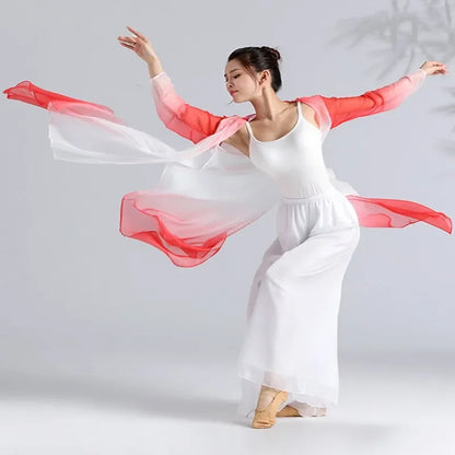 Women Classical Dance Long Dress Flowy Loose Shirt Chiffon Harem Pants Dancer Practice Wear Chinese Folk Dancewear Gradient