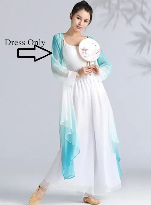 Women Classical Dance Long Dress Flowy Loose Shirt Chiffon Harem Pants Dancer Practice Wear Chinese Folk Dancewear Gradient